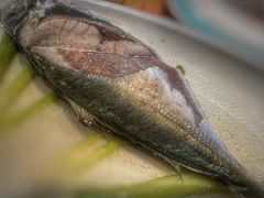 -渔傅印象滩涂霞浦海鲜(井大路店)