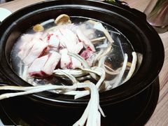 -探窝·竹笙椰子鸡(杨箕店)