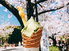 -鹤桥风月(南港店)