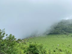 -白草畔自然风景区