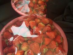 -南京众彩农副产品配送有限公司