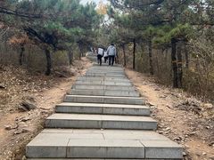 -北京西山国家森林公园