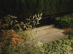 阳台-上海崇明金茂凯悦酒店