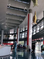-天津市儿童医院(北辰龙岩院区)