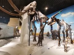 -国家自然博物馆