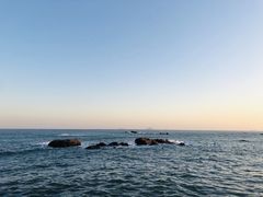 -海合安青岛极地海洋公园