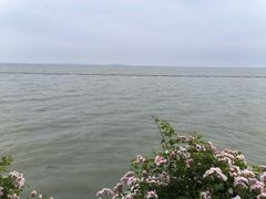 -贡湖湾湿地公园