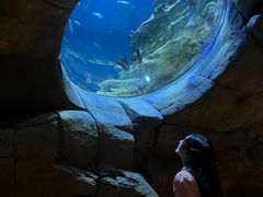 -香港海洋公园