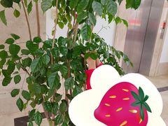 -新加坡伊顿上海马雅思幼儿园