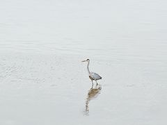 -洛阳桥