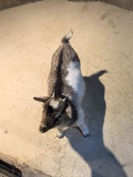 -酷嗒动物文化乐园(cutezoo西溪乐天城店)