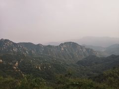 -大岭沟猕猴桃谷风景区