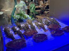 -麓湖国际水疗