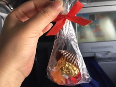 -德国汉莎航空