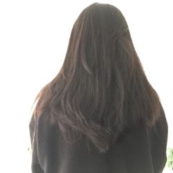 -YESIDO椰岛造型