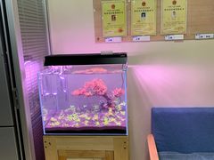 -芭比堂宠物医院·全科爱猫医院·仁德分院