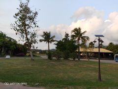 -亚龙湾国际玫瑰谷