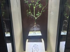 -辽宁古生物博物馆