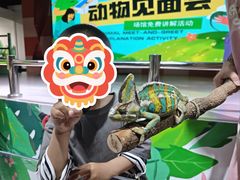 -上海大自然野生昆虫馆(东方明珠·爬宠昆虫探索中心)