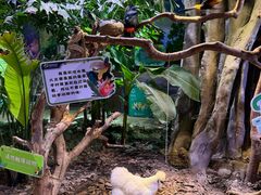 -正佳雨林生态植物园