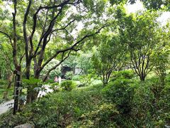 -中国茶叶博物馆(双峰馆区)