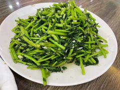 -林之六八·6886大连老菜馆