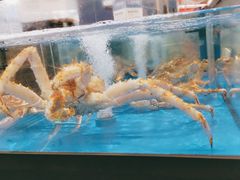 -盒马X会员店(王府井奥莱UP TOWN店)