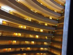 -新加坡文华东方酒店