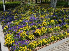 -杭州师范大学(下沙校区)