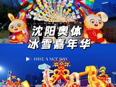 -沈阳奥体冰雪嘉年华