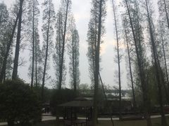 -秀丽东方
