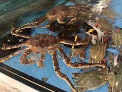 -旺顺阁海鲜广场(亚运村店)