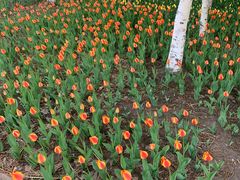 景点-长春公园(普阳街道)