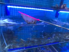 -前王院•巧克力海鲜市集餐厅(万平口店)