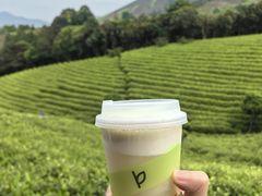 -白茶原·一片叶子