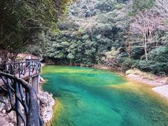 -龙湾潭国家森林公园