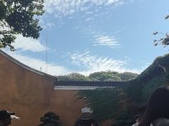 -普陀山风景区-佛顶山