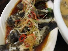 -阿清嫂农家乐.黎窑烤鸡