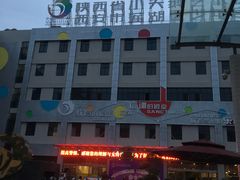 -陕西省小天鹅艺术团