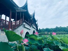 -上海海湾国家森林公园