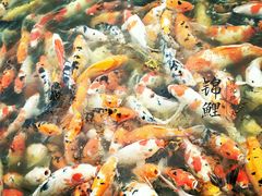 -文瀛公园