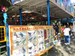 -寻石问宝研学亲子乐园(朝阳公园店)