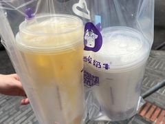 -一只酸奶牛(八一路店)