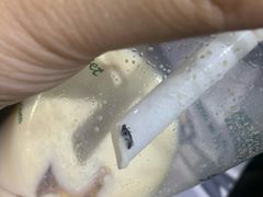 -1点点(曹杨路店)