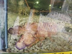 -顺德了能馆(虎门店)