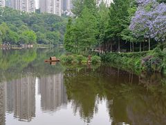 -重庆彩云湖湿地公园