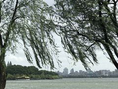 -苏堤停车场