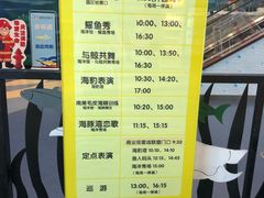 -芜湖新华联大白鲸海洋公园