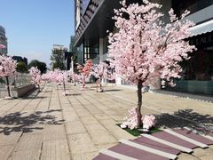 -大洋晶典(东街店)