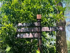 -铁山坪森林公园